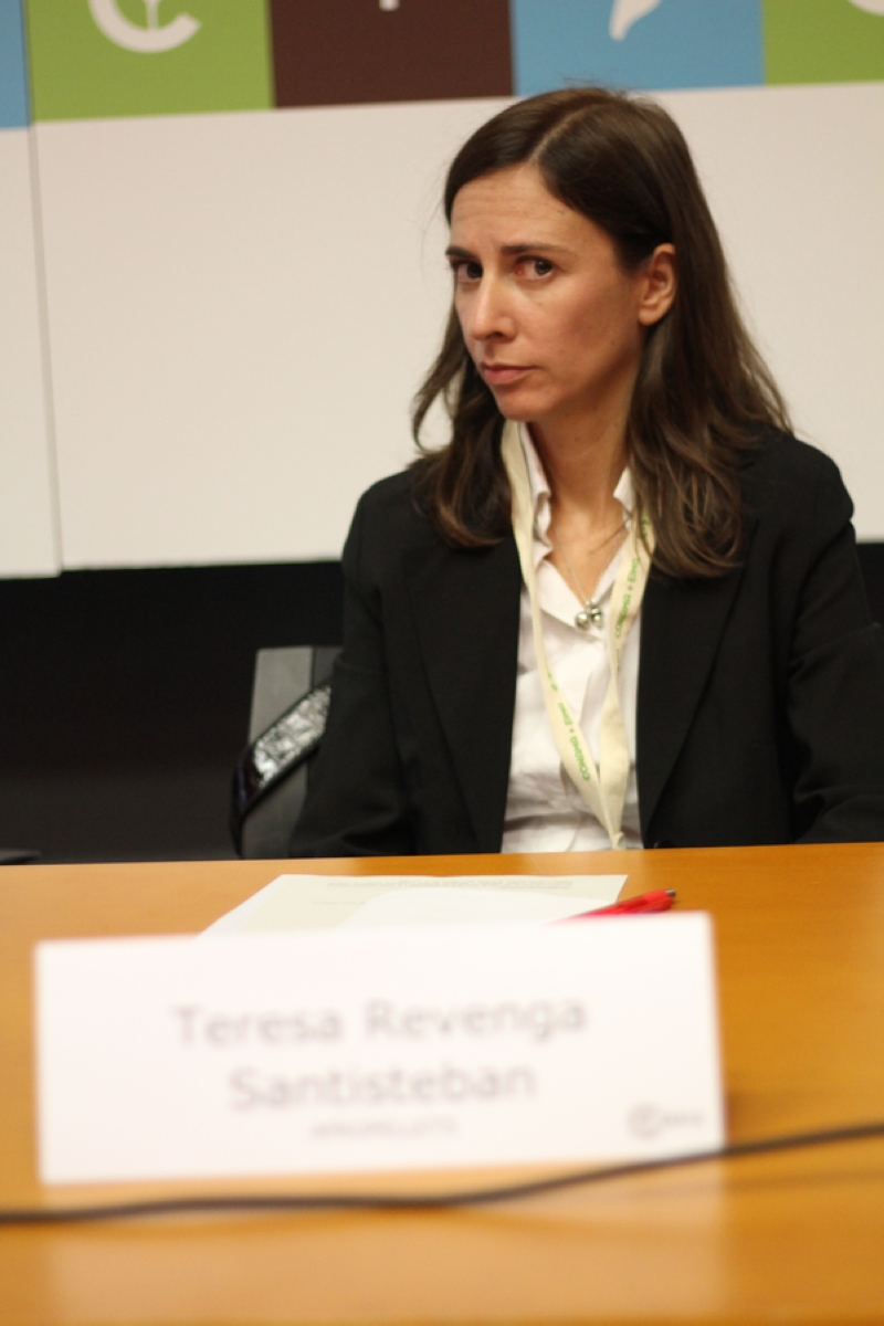 Teresa Revenga Santiesteban