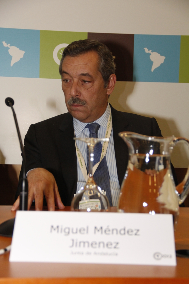 Miguel Méndez Jimenez