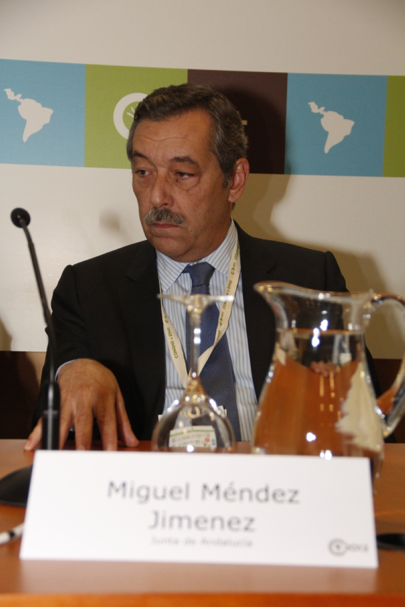 Miguel Mndez Jimenez