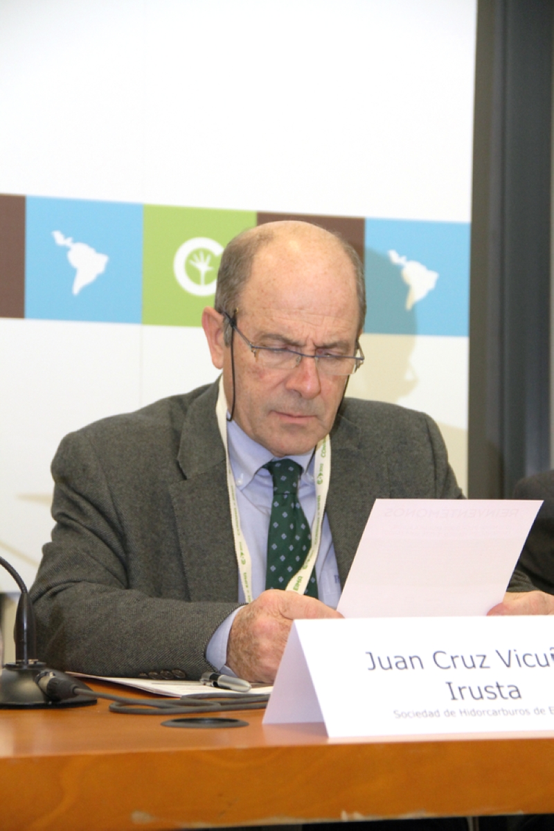 Juan Cruz Vicuña Irusta
