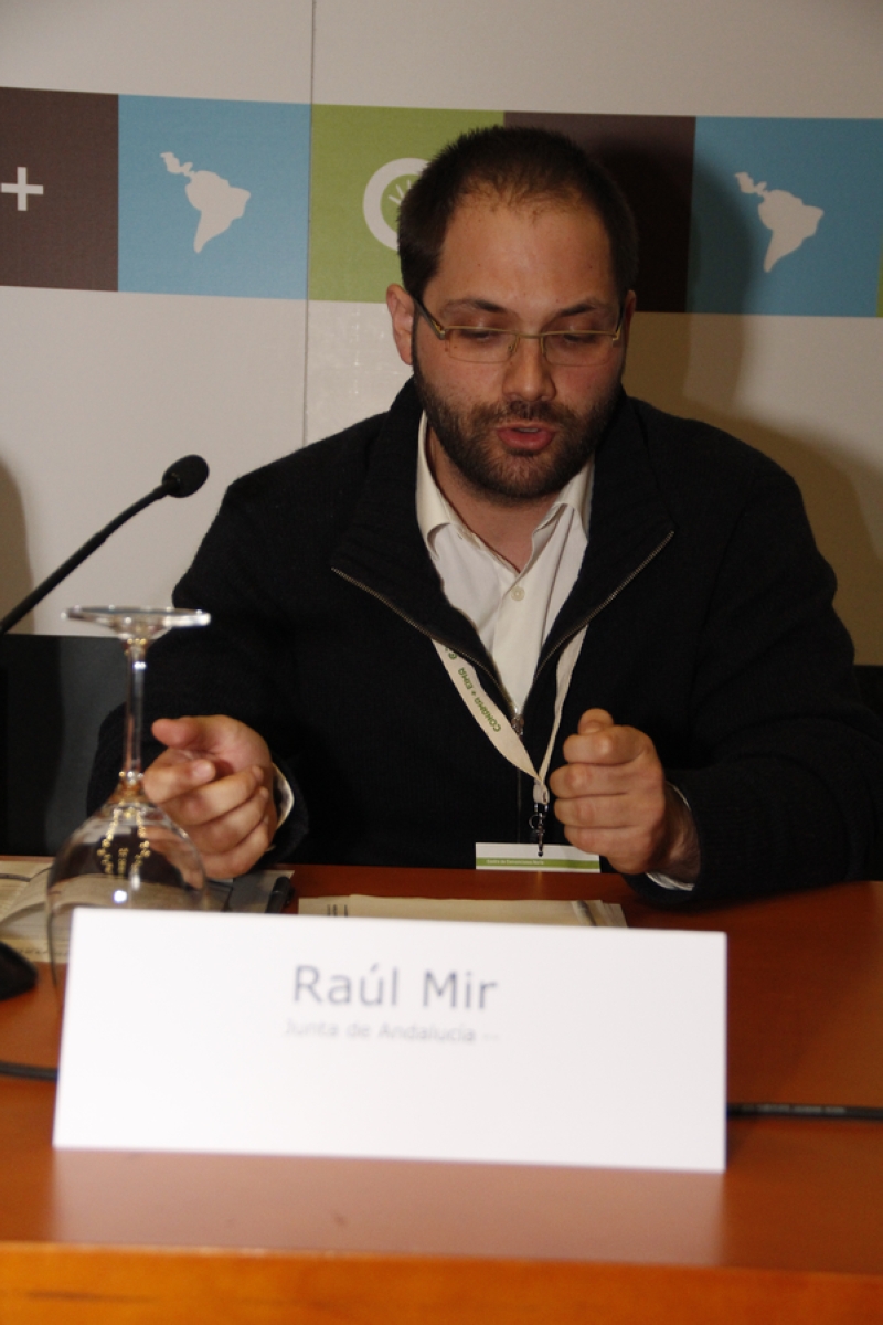Raúl Mir