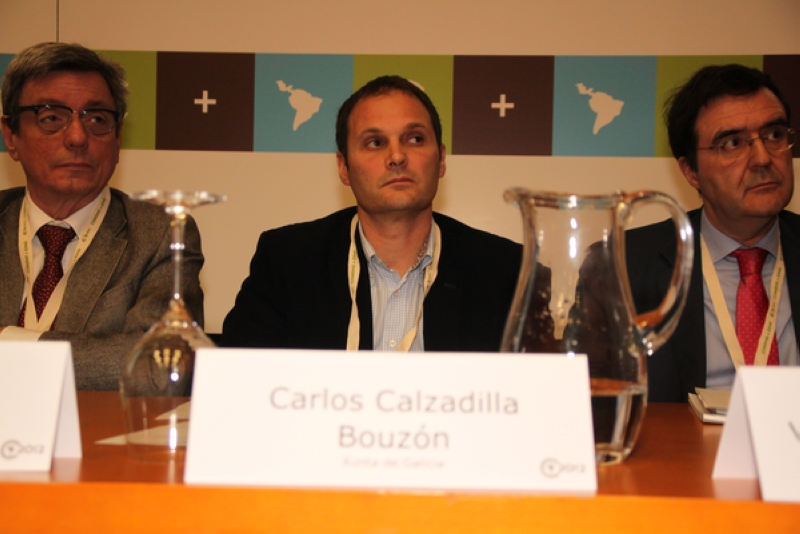 Carlos Calzadilla Bouzón