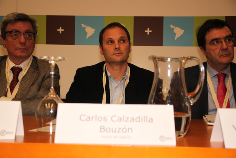 Carlos Calzadilla Bouzn