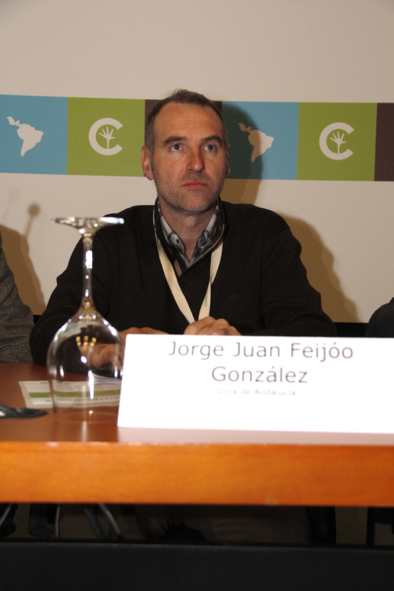 Jorge Juan Feijo Gonzlez