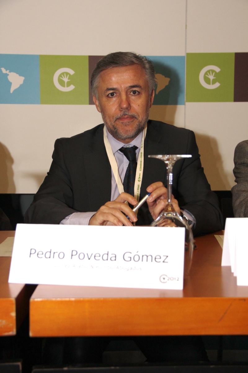 Pedro Poveda Gómez