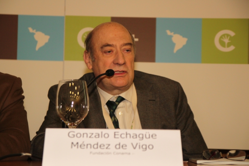 Gonzalo Echagüe Méndez de Vigo