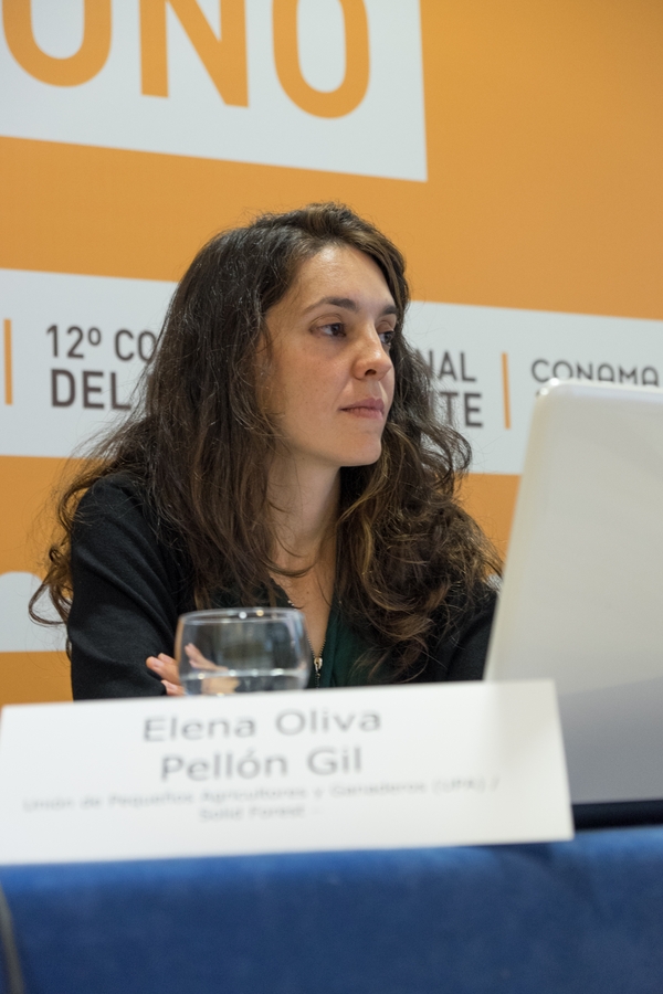 Elena Oliva Pelln Gil