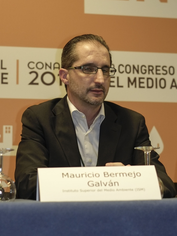 Mauricio Bermejo Galvn
