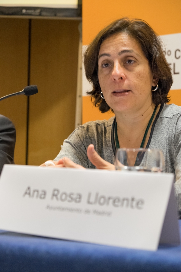 Ana Rosa Llorente Botrn