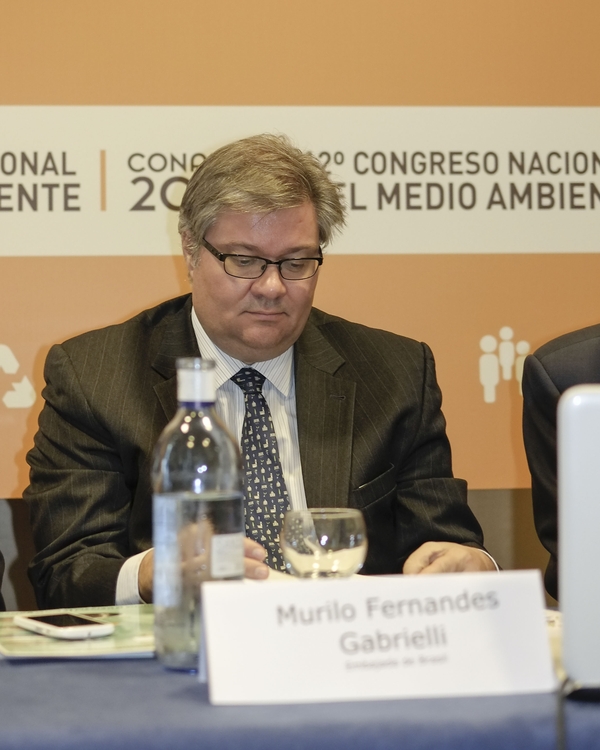 Murilo Fernandes Gabriellli