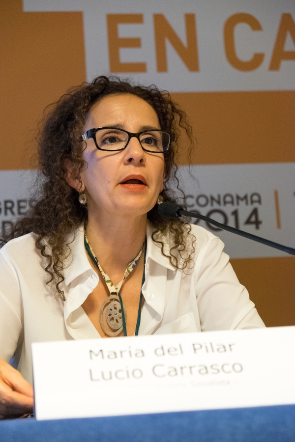 Mar�a del Pilar Lucio Carrasco