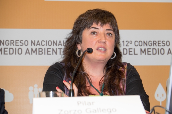 Pilar Zorzo Gallego