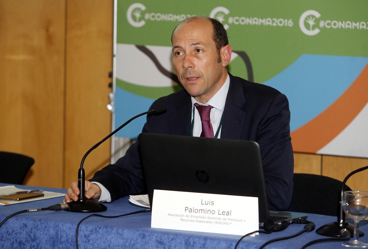 Luis Palomino