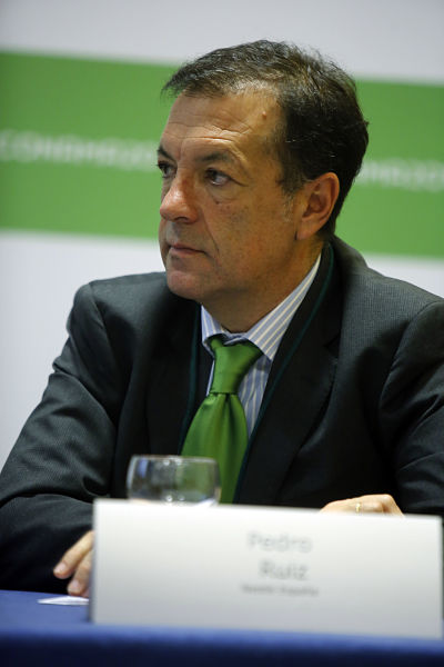Pedro Ruiz