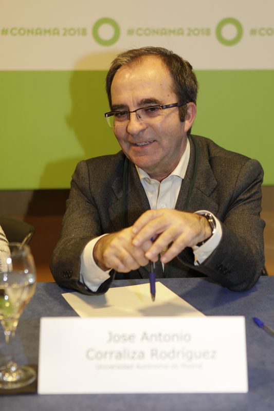 Jose Antonio Corraliza Rodríguez