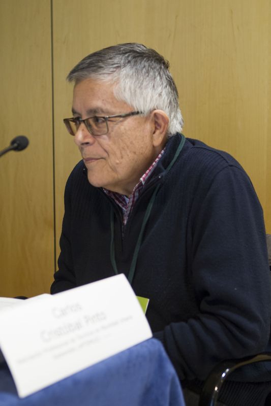 Carlos Cristóbal Pinto