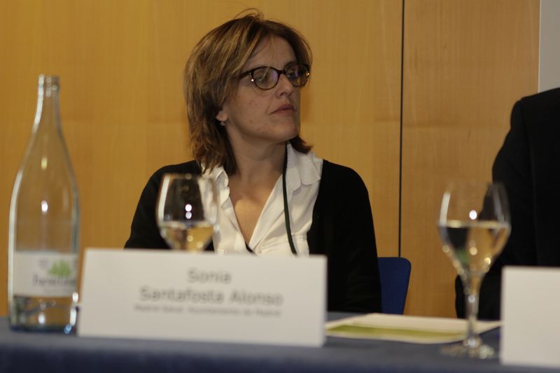 Sonia Santafosta