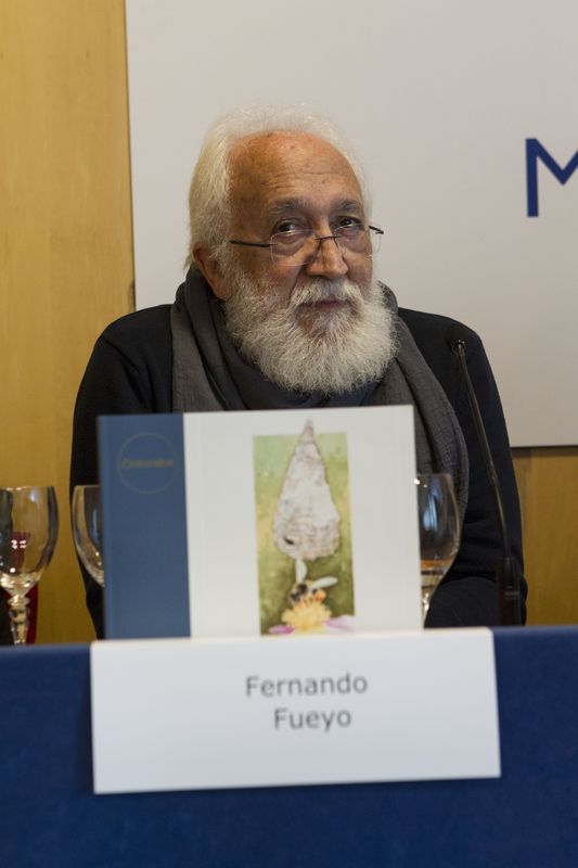 Fernando Fueyo
