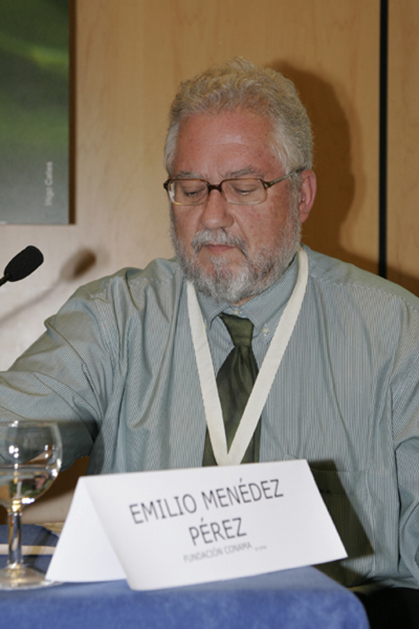 Emilio Menndez Prez
