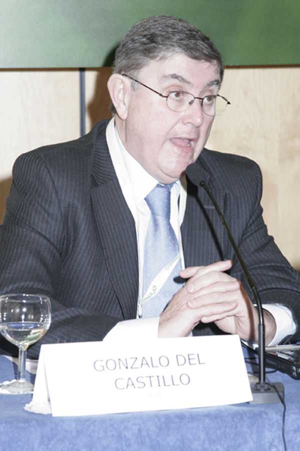 Gonzalo del Castillo Ramrez