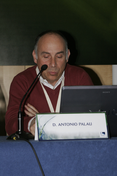 Antonio Palau Ibars