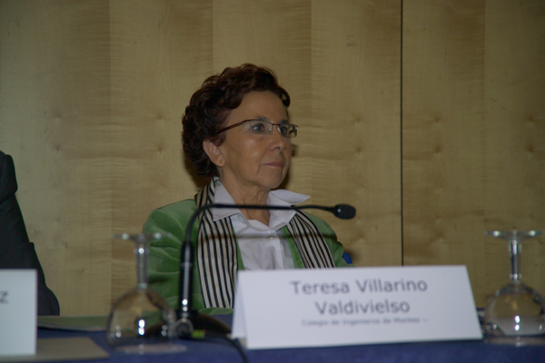 Teresa Villarino Valdivielso