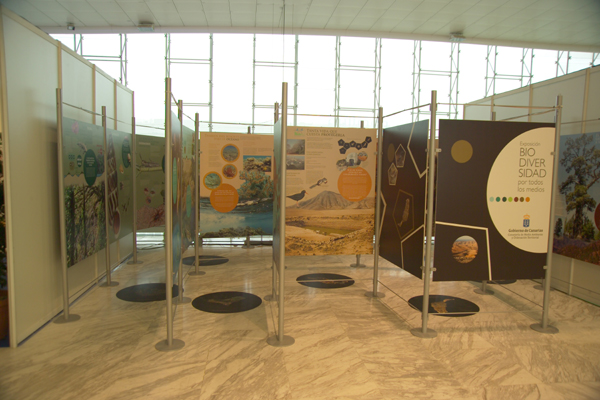 Stand Gobierno de Canarias